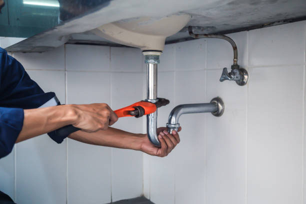 Best Commercial Plumbing Services  in Wells Branch, TX