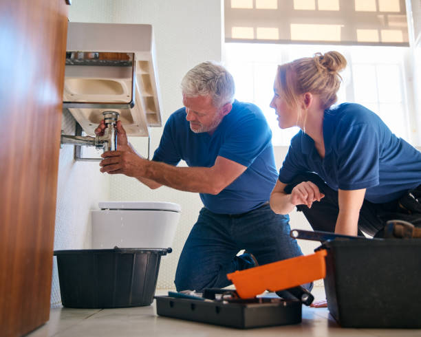Best Water Softener Installation  in Wells Branch, TX